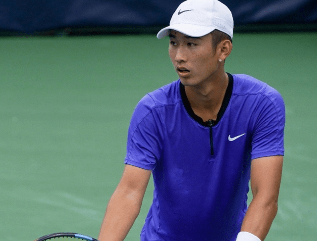 在巴西国家 在巴西国家