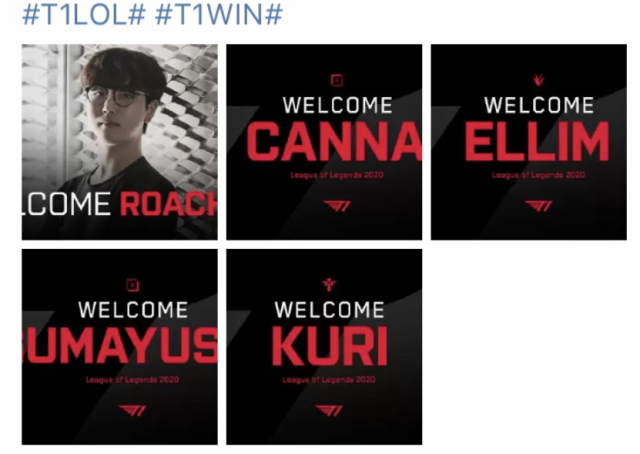 登山领域的 登山领域的